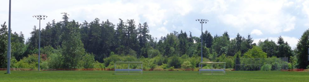 Blue Heron Park