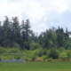 Blue Heron Park