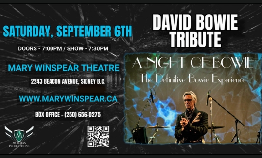A Night of Bowie image
