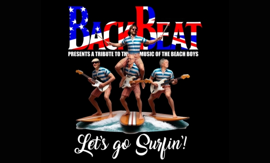 Let’s Go Surfin’ image
