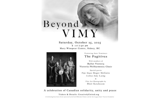 Beyond Vimy image
