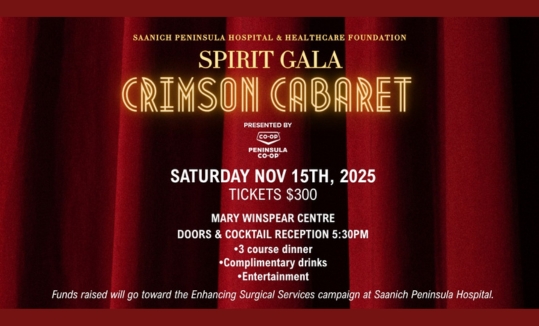 Spirit Gala “Crimson Cabaret” image