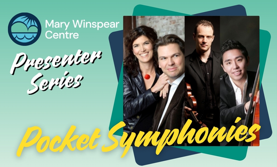 Pocket Symphonies image