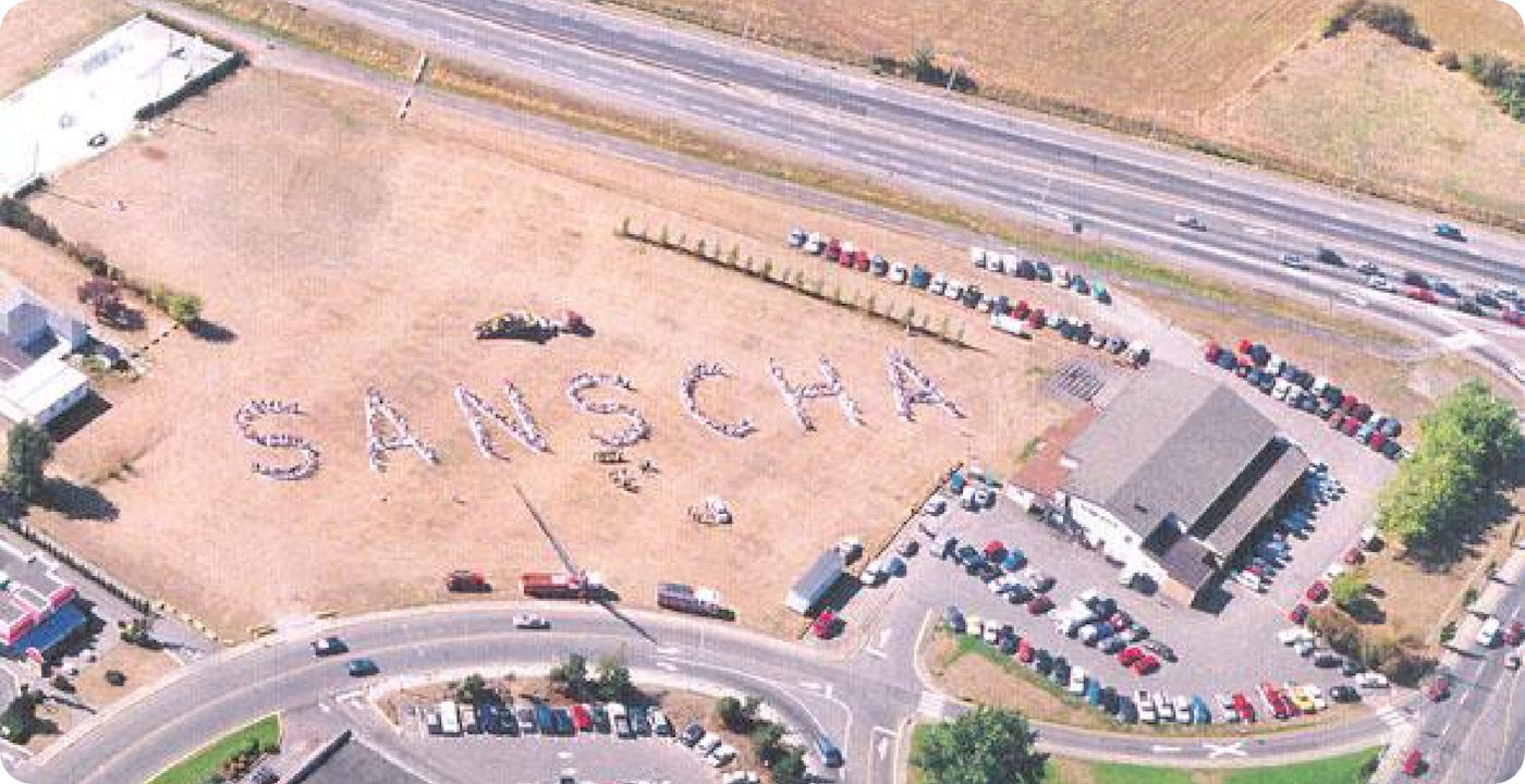 Sanscha outline on grass