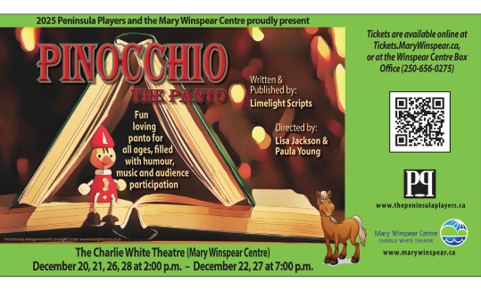 Pinocchio the Panto